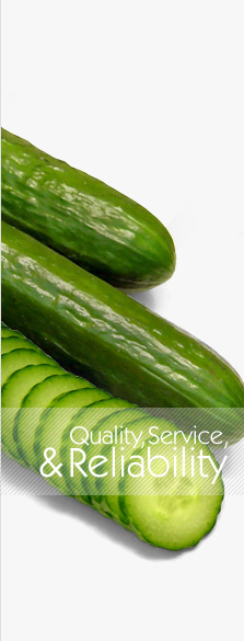 Quality, Service & Reliability
