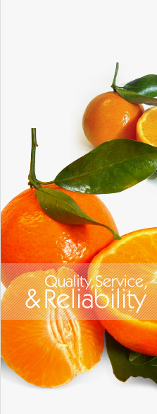 Quality, Service & Reliability